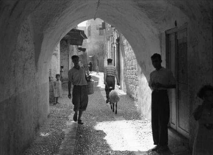 Saida, Lebanon