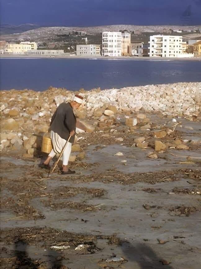 Saida, Lebanon