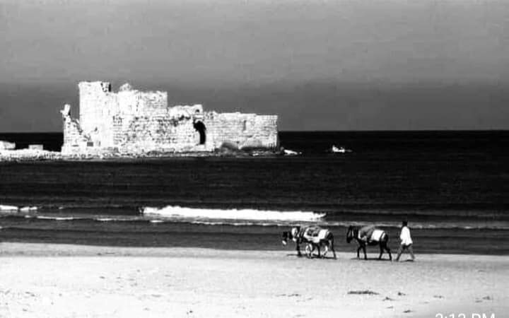 Saida, Lebanon
